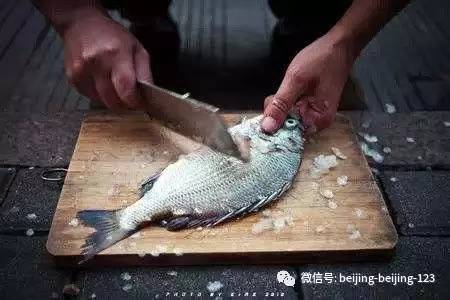 鱼肉，苦胆